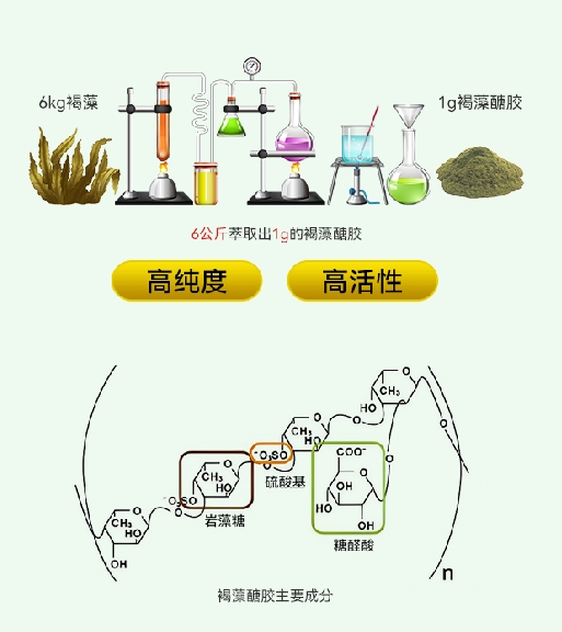 进驻天猫国际！褐宝优解读新时代国人健康“密码”