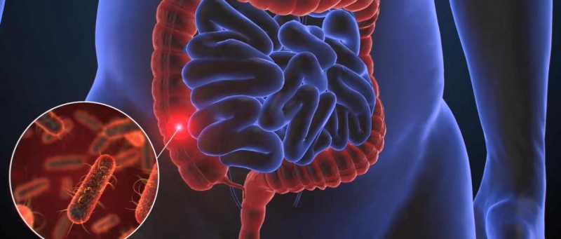 小心！核污水污染的不只是海鲜，你的肠道可能也在“躺枪”