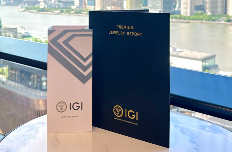 2024 年度盘点：igi 中国的闪耀征途与璀璨硕果