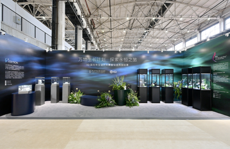 2024 年度盘点：igi 中国的闪耀征途与璀璨硕果