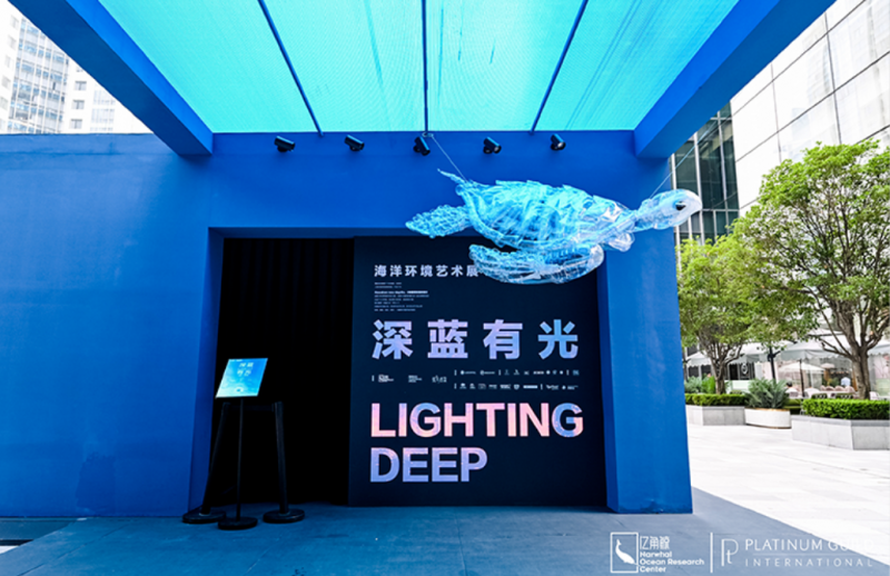 2024 年度盘点：igi 中国的闪耀征途与璀璨硕果