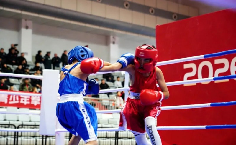油画塔城·新年新景 | 热雪欢歌启新章——塔城地区冰雪文化旅游季多彩活动点燃冰雪激情