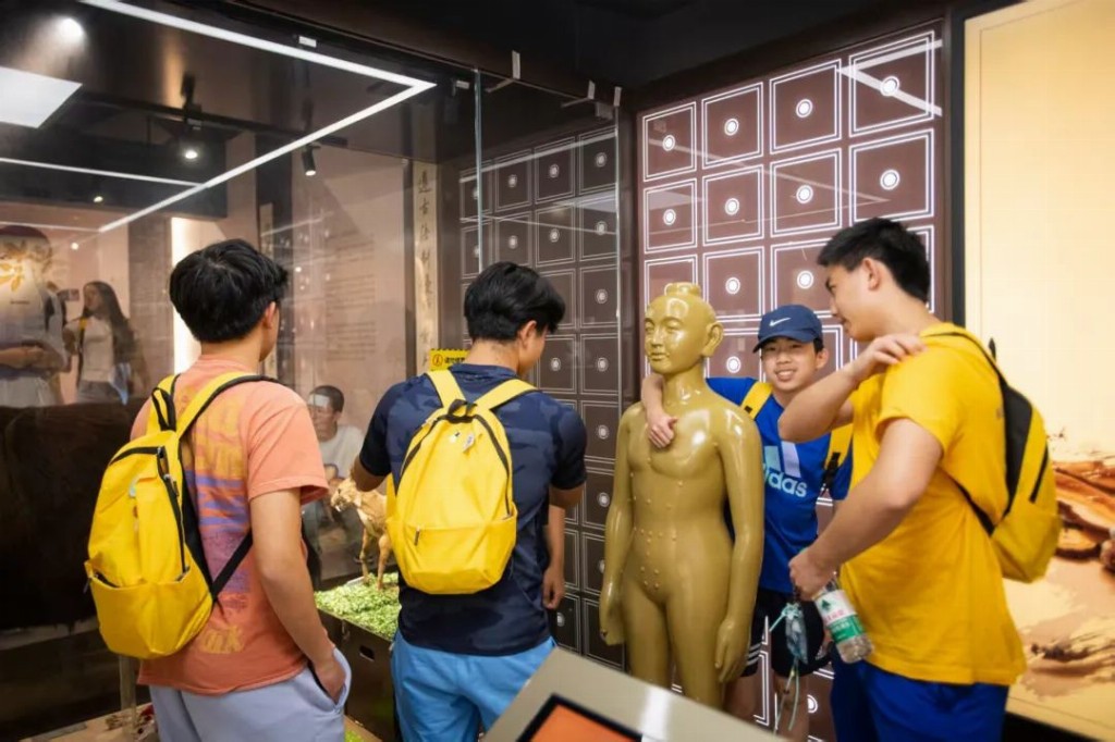 海创黄浦·智汇z世代 | 从舌尖到指尖：华裔青少年深度体验中国非遗文化