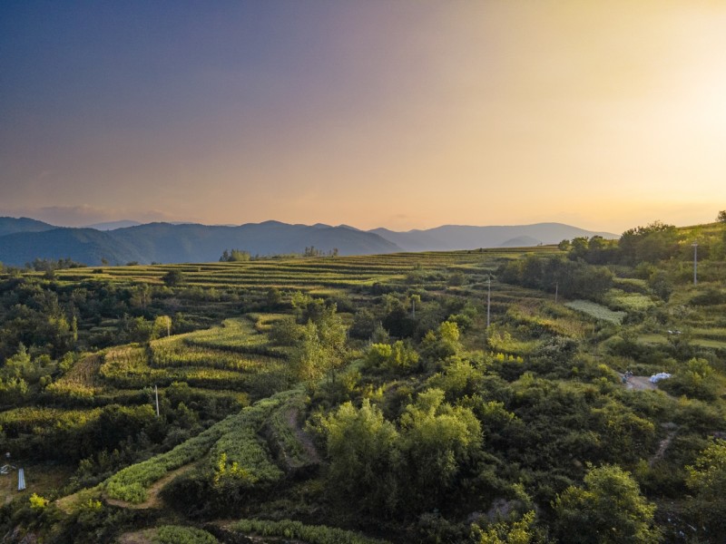 阳城县大力推动谷子产业强县,山西一和农业科技发展有限公司荣获项目支持