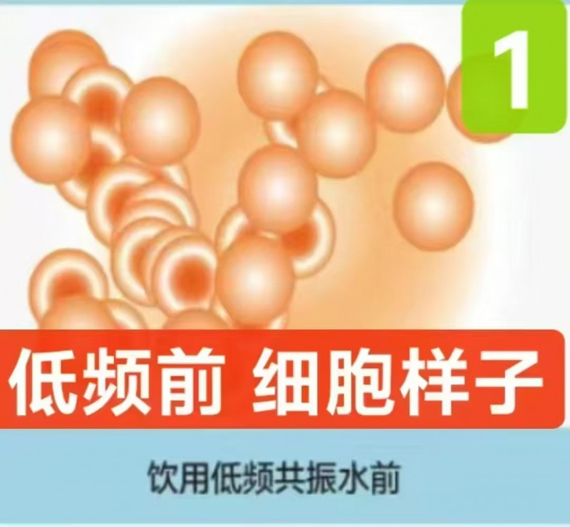 芃龙场导仪水有什么功效