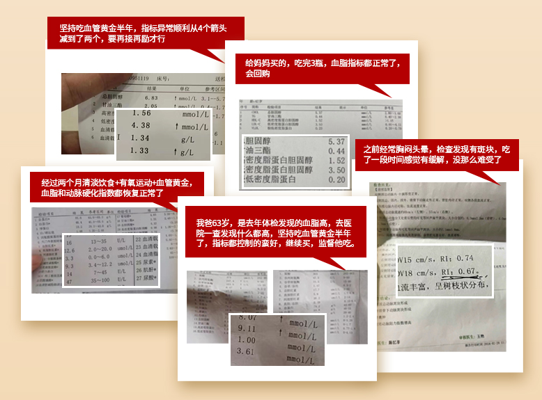 熬夜加班不心慌！赛立复血管黄金plus修内皮更安心