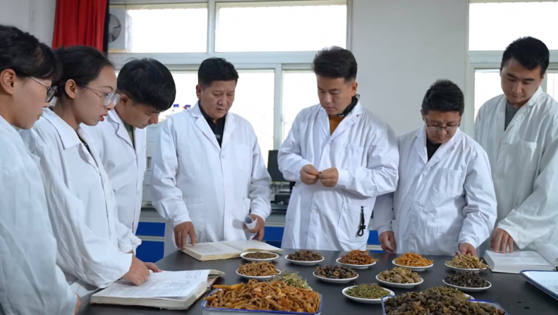 中央新影发现之旅频道播出04月14号播出《金诃藏药：古老智慧与现代创新的交响》