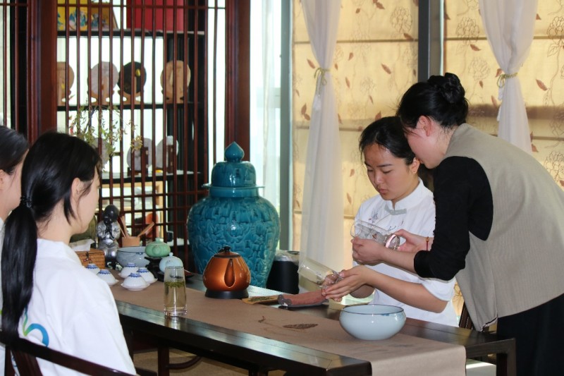 浙江舟旅健院“植此青绿”团队开启普陀佛茶调研，探索产业发展新路径