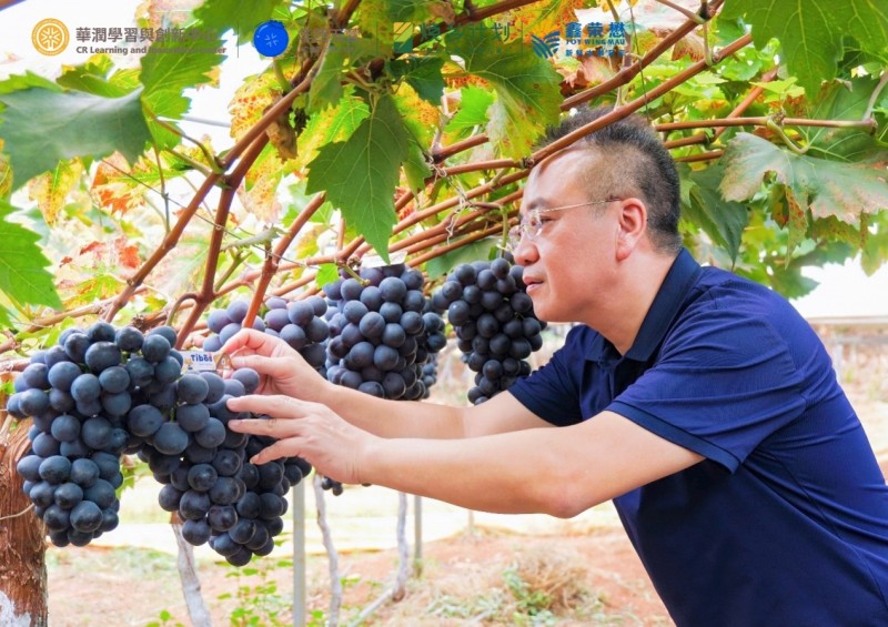 坚守品质初心,olé多维度升级消费体验