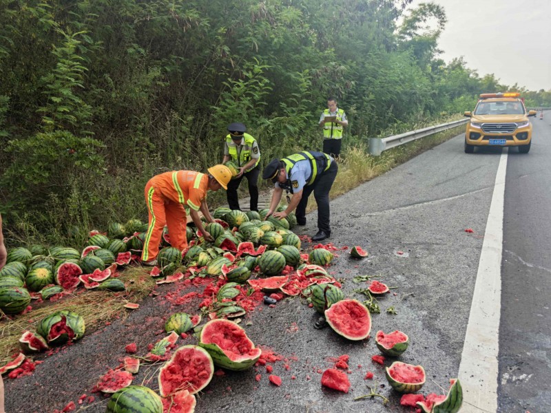 高温下的坚守：重庆一货车侧翻1.3吨西瓜散落一地 高速执法多部门协作挽回瓜农“甜蜜”损失