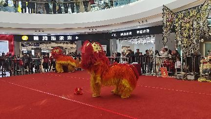 非遗搭台，就业唱戏：西宁首届乡村振兴舞狮大赛圆满落幕，技能人才与市场实现“双向奔赴”