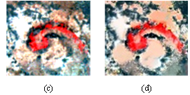 nature系列期刊最新发表：重庆理工大学团队携手莱森光学，以高光谱成像