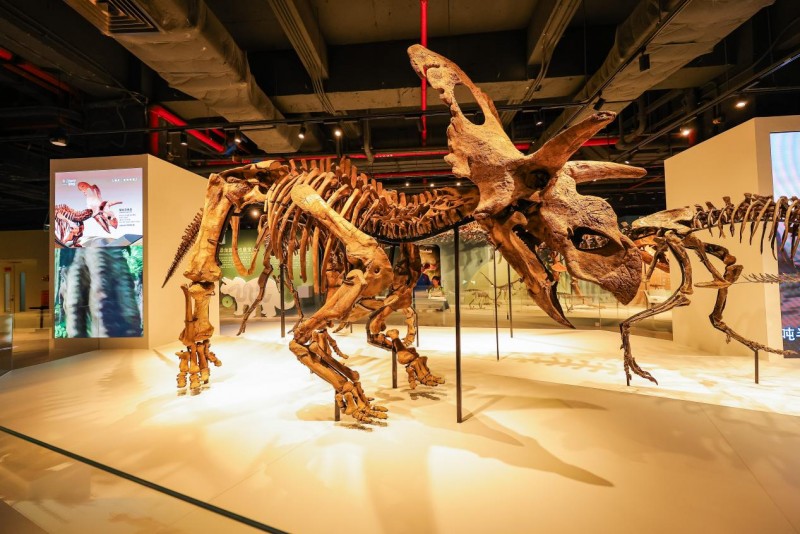 喜迎全运，五度同行：正佳广场携手广马共筑城市体育年