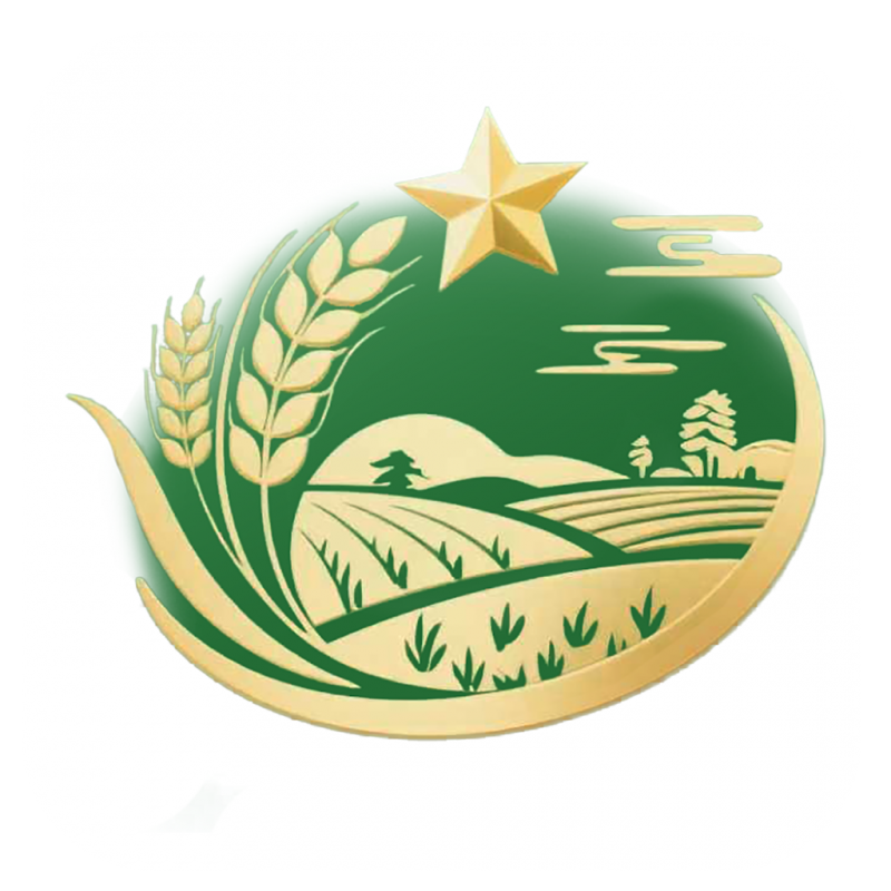 乡村振兴谱新篇,普惠民生暖人心