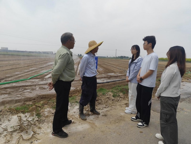 河南中医药大学“地里生金”实践团队走进焦作温县