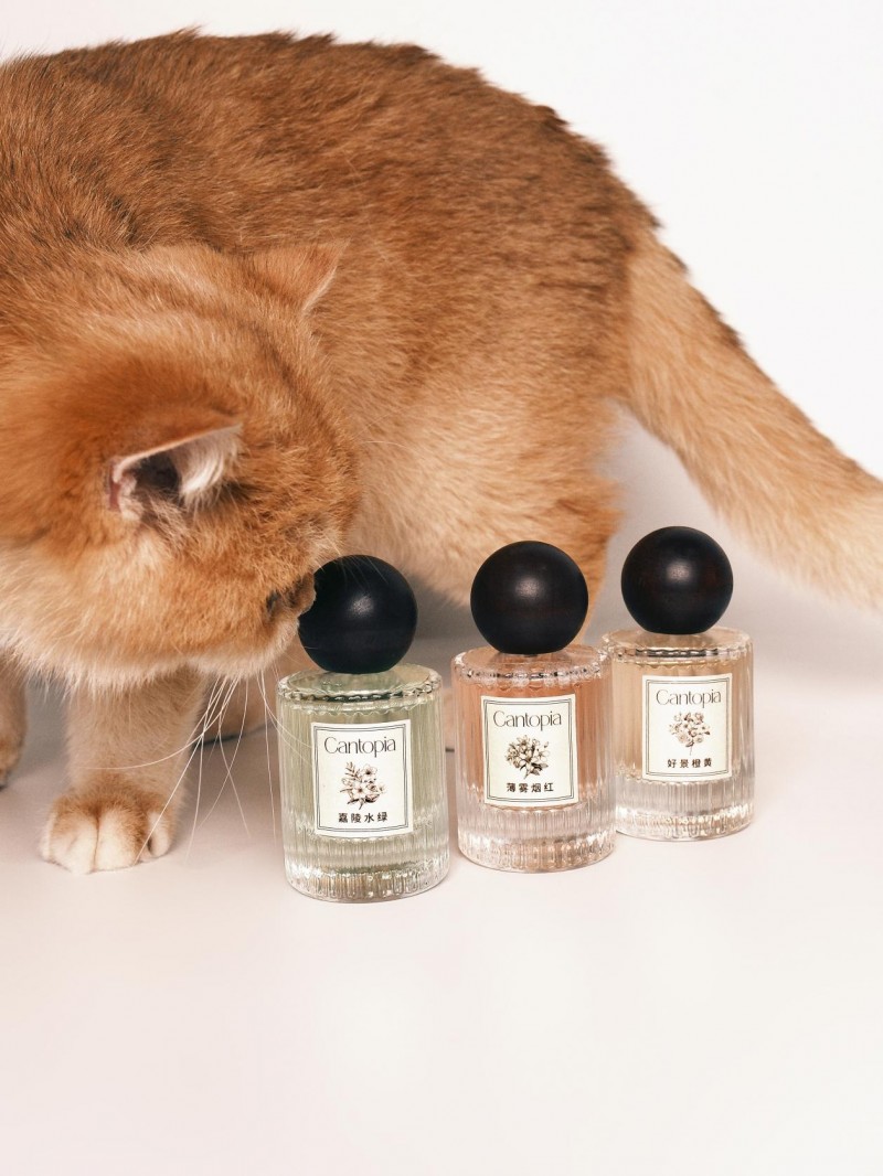 当香气成为时光的刻度