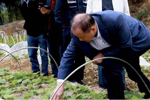 安发生物：以高品质生态原材料夯实企业发展基石，“链”就乡村振兴新图景