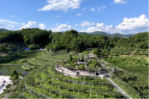 安发生物：以高品质生态原材料夯实企业发展基石，“链”就乡村振兴新图景