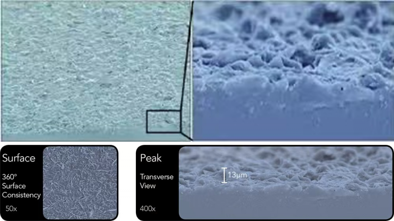 狮城盛会启新程 motiva梦萦?携手中国专家领航隆胸领域精准化发展
