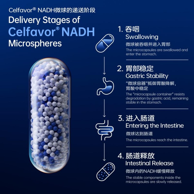 携手见证创新突破：celfull赛立复邀您莅临supplyside global 2025