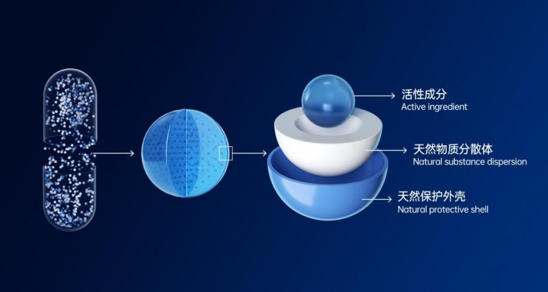 携手见证创新突破：celfull赛立复邀您莅临supplyside global 2025