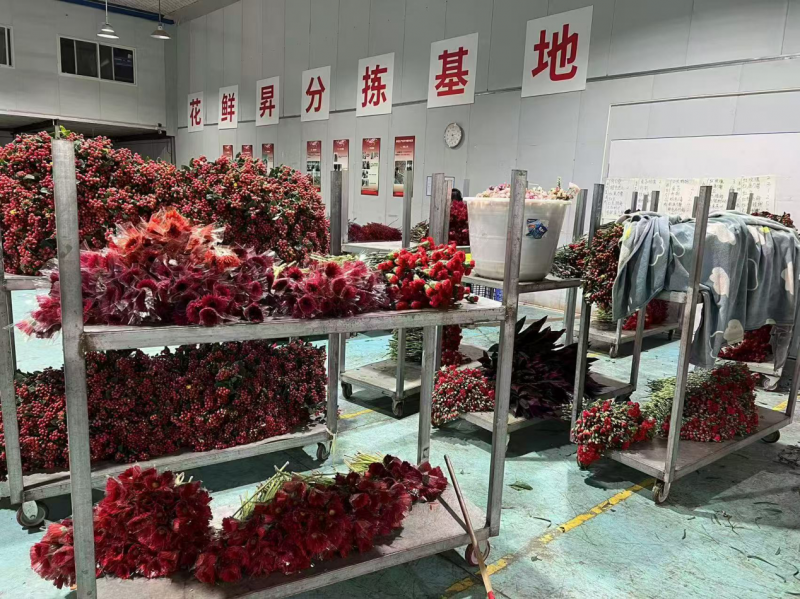 杭州花鲜昇物联科技深度响应国家提振消费政策，以鲜花新零售蓝海市场赋能美好生活