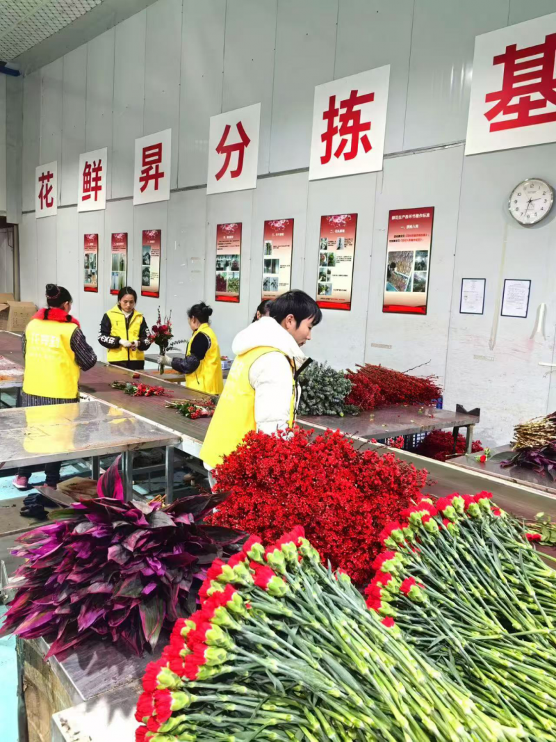 杭州花鲜昇物联科技深度响应国家提振消费政策，以鲜花新零售蓝海市场赋能美好生活