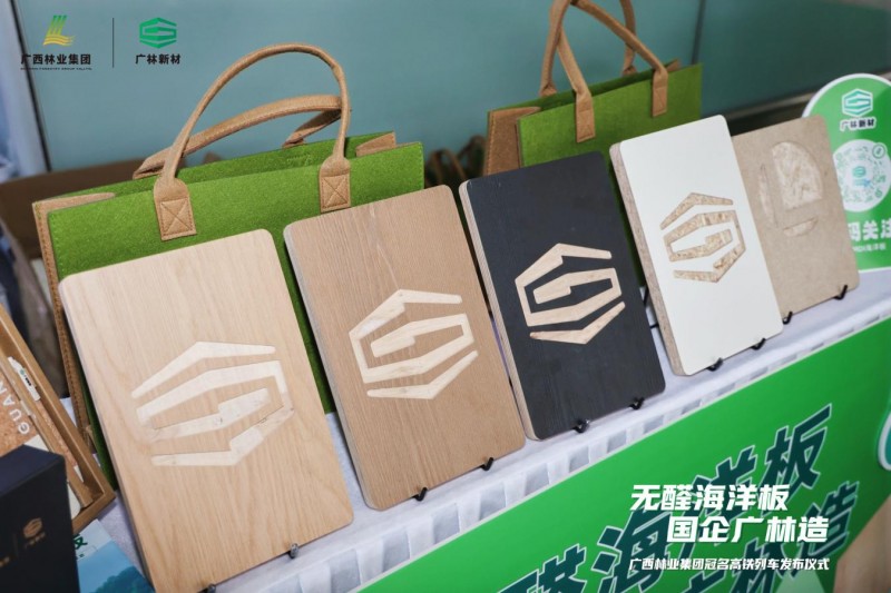 享“中国速度”用“国民好板”广西林业集团冠名高铁专列启航