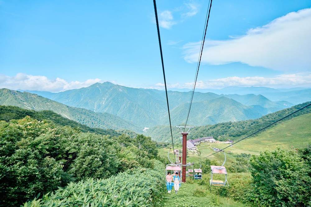 今年流行coolcation？躲进22度的夏天里