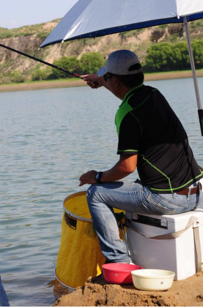 钓技革命：崔秉亮与单饵钓鲢鳙的传奇