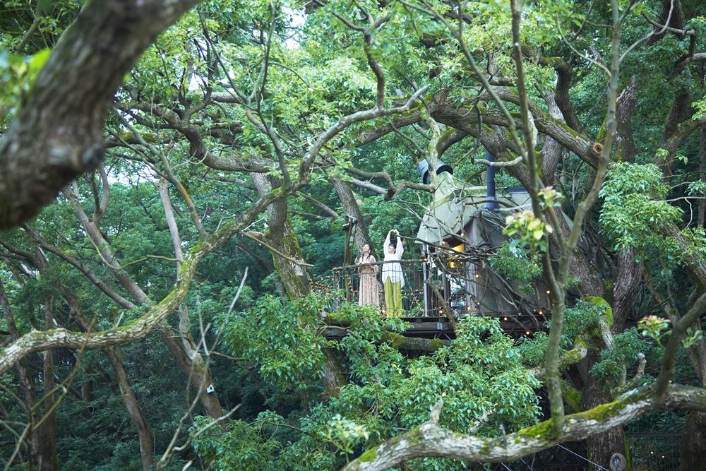 risonare热海-森林树屋