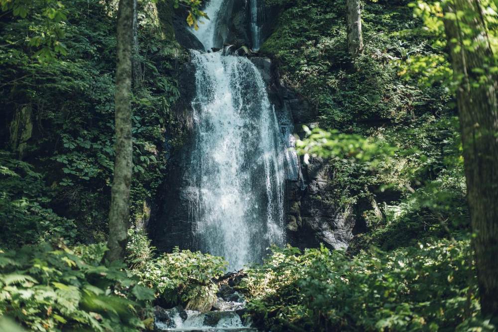 nature scene “oirase gorge” 3 - hoshino resorts oirase keiryu hotel